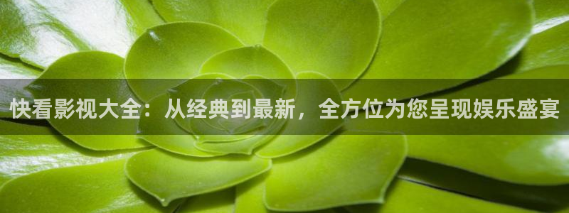 爱丫爱丫在线影院电视剧免费动漫