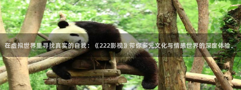 爱丫爱丫在线影院电视剧小说免费：在虚拟世界里寻找真实的自我：《222影视》带你多元文化与情感世界的深度体验。