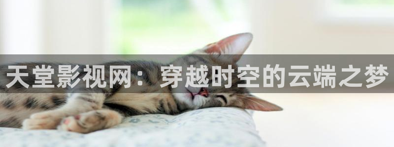 爱丫爱丫在线影院电视