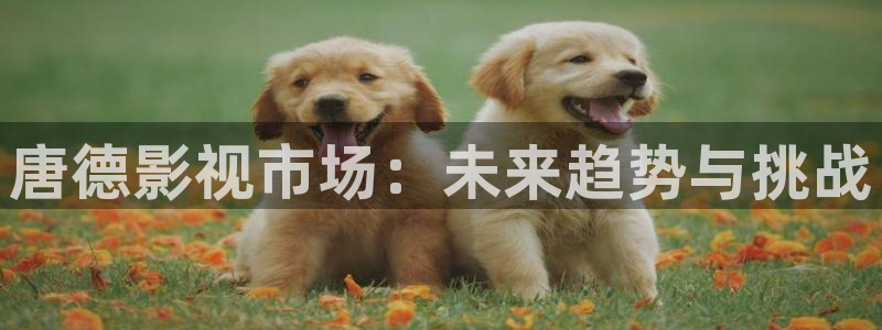爱丫爱丫影院电视剧免费观看新剧场：唐德影视市场：未来趋势与挑战