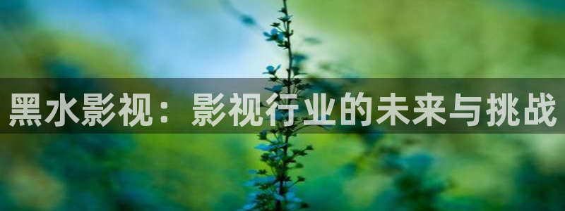 爱丫爱丫影院官网