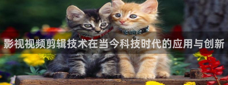 爱丫爱丫在线影院电影：影视视频剪辑技术在当今科技时代的应用与创新